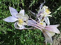 photograph