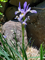 photograph
