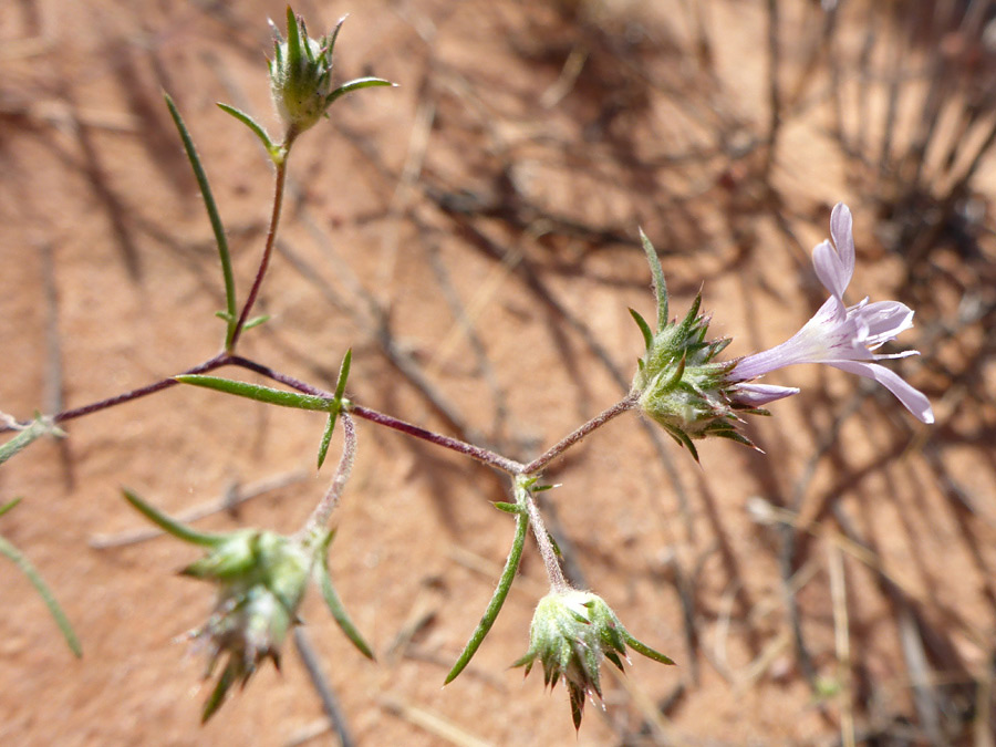 Upper stem