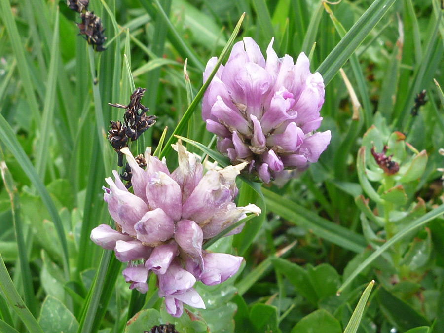 Small clusters