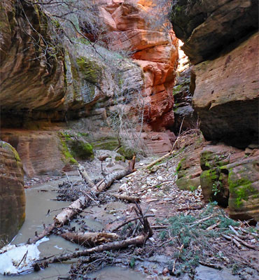 Beartrap Canyon, Utah