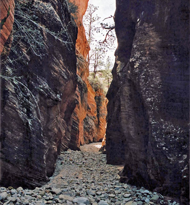 Shady passage in upper Clear Creek