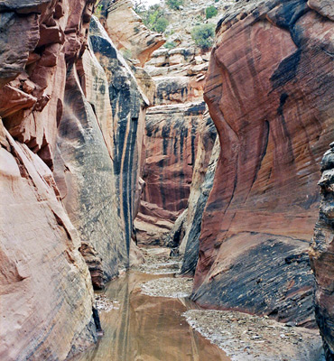 Vertical cliffs, Cottonwood Wash