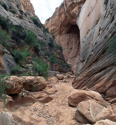 High walls of Navajo sandstone