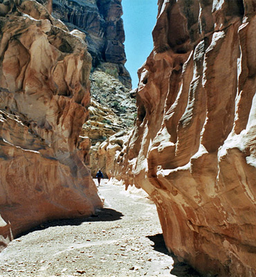 Sunny passageway in Crack Canyon