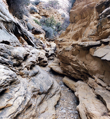 Thin strata in Devils Canyon