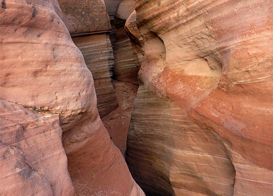 Narrow passage through stripy orange sandstone