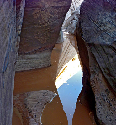 Reflections on a shallow pool