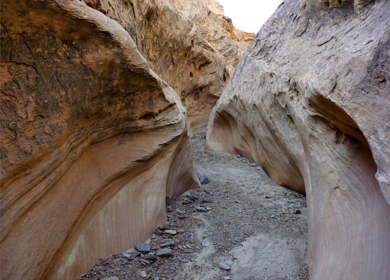 Curving rock walls of Navajo sandstone