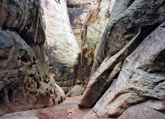 Middle of the Grand Wash canyon