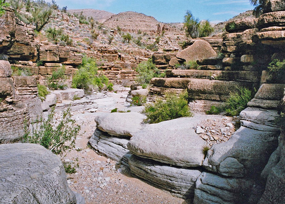 Limestone ledges