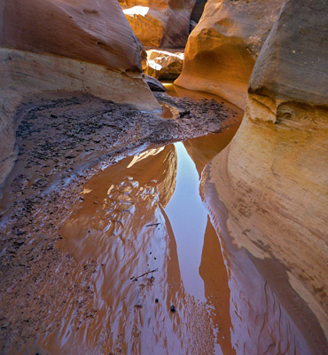 Reflections on a shallow pool