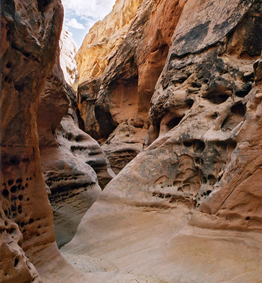 Undulating, yellow/brown canyon walls