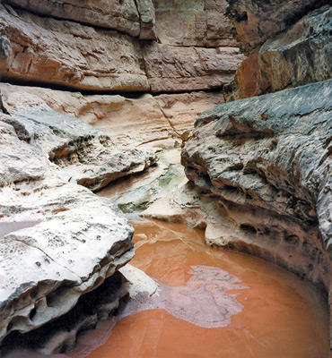 Muddy pool