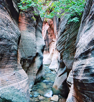 Shallow water in Kanarra Creek