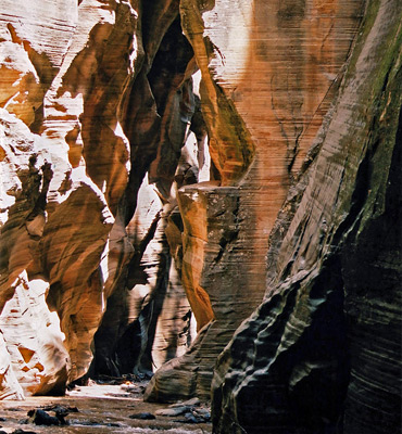 Deep narrows of Kolob Creek