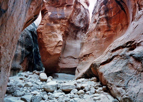 Middle of the canyon, Llewellyn Gulch