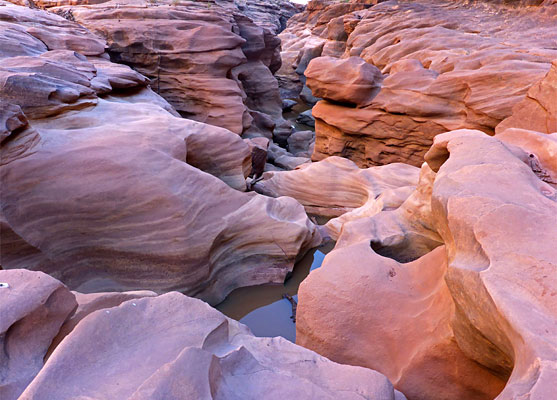 Twisting slot, Lower White Canyon