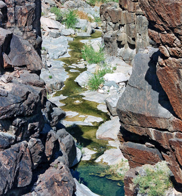 Pink limestone gorge in Milkweed Canyon