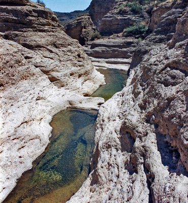 Limestone narrows