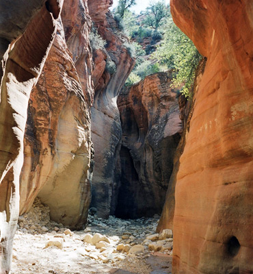 Lower canyon of Mineral Gulch