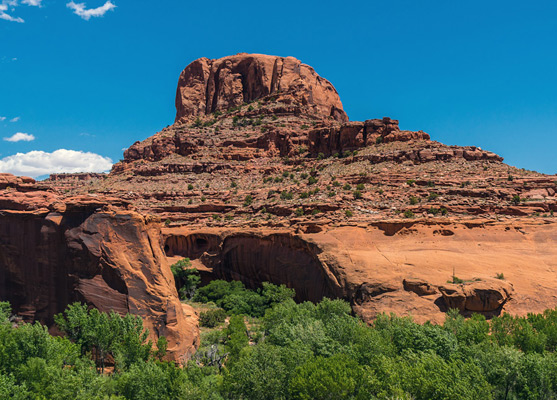 Neon Canyon-Escalante River confluence