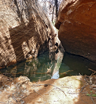Deep pool in Maidenwater Canyon