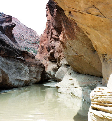 Watery passageway along the Paria River