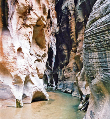 Sunny corridor in Parunuweap Canyon