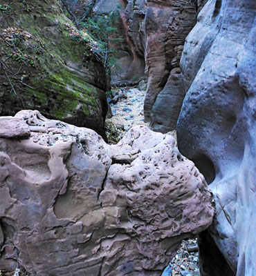 Pinkish boulder