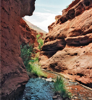 Small stream flowing through Mary Jane Canyon