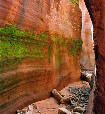 Mossy wall in Red Cave