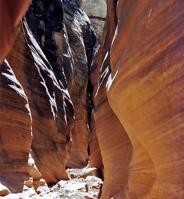 Sunny narrows in Rock Canyon