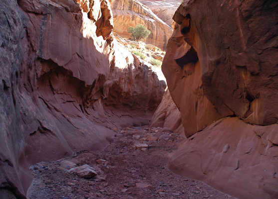 Curving, deep red sandstone walls