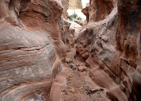 Medium width narrows of Sheets Gulch