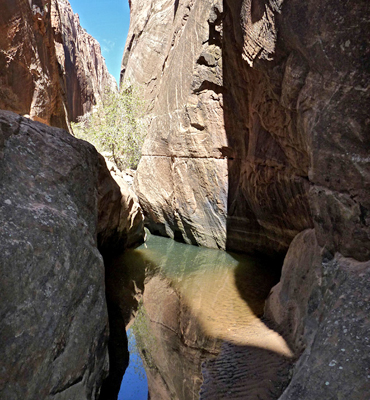 Pool with reflections