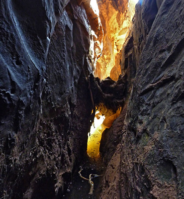 Yellow reflected sunlight