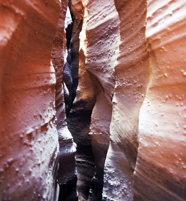 Spooky Gulch