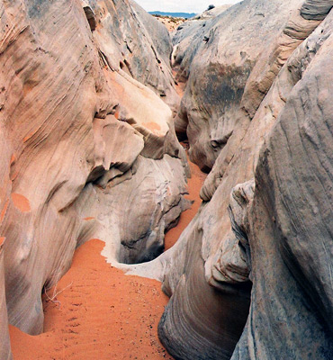 Orange sand in Stateline Canyon