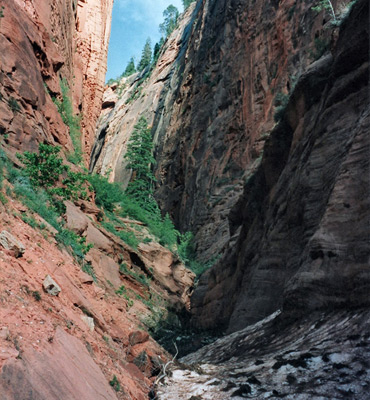 Narrows in the upper end of Taylor Creek