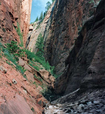 Narrows in the upper end of Taylor Creek