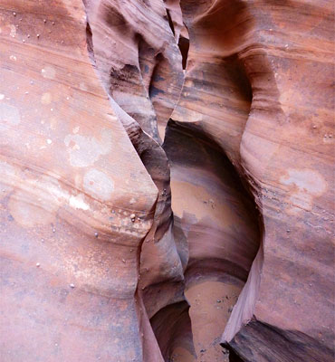 North Trachyte Point Canyon