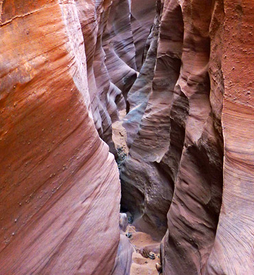 Trachyte Point Canyon