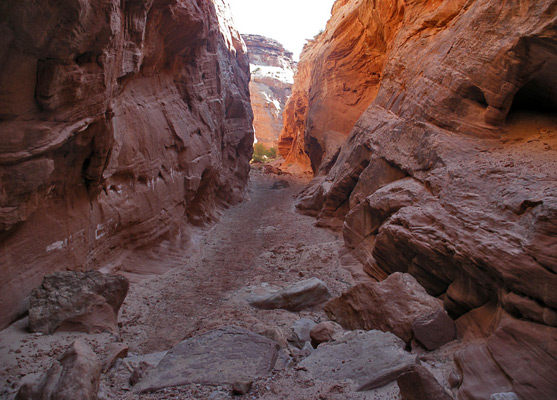 Lower end of the west fork narrows