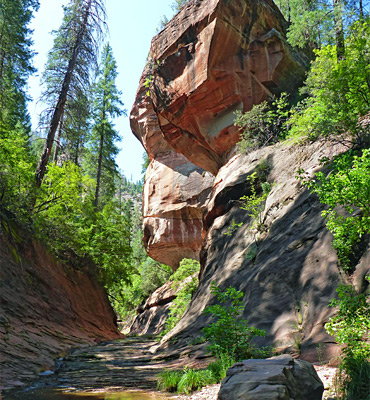 Protruding, head-shaped rock