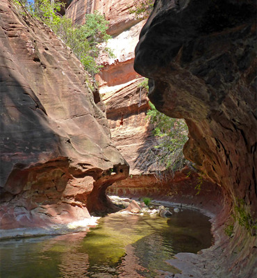 Canyon narrows, West Fork of Oak Creek