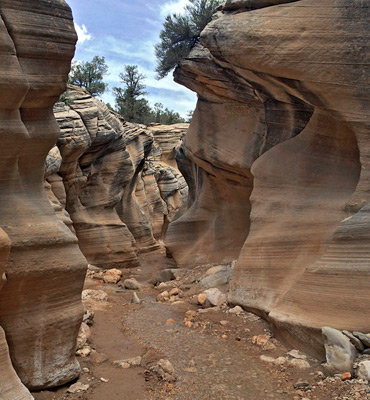 The upper narrows of Willis Creek