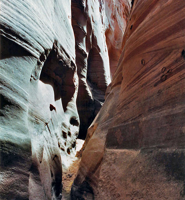 Canyon downstream of Zebra Slot