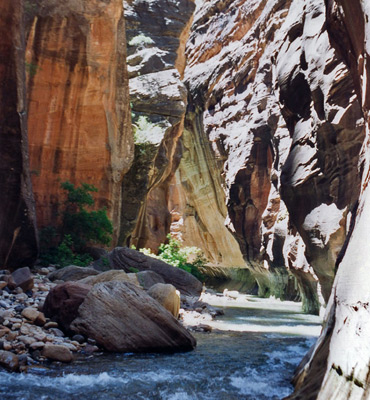 The Virgin River