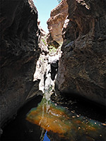 photograph